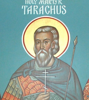 Tarachus, hl.jpg